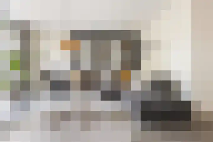 Weide 6 Stolwijk thumbnail 6