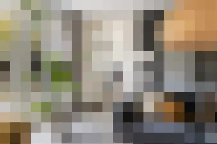 Weide 6 Stolwijk thumbnail 7