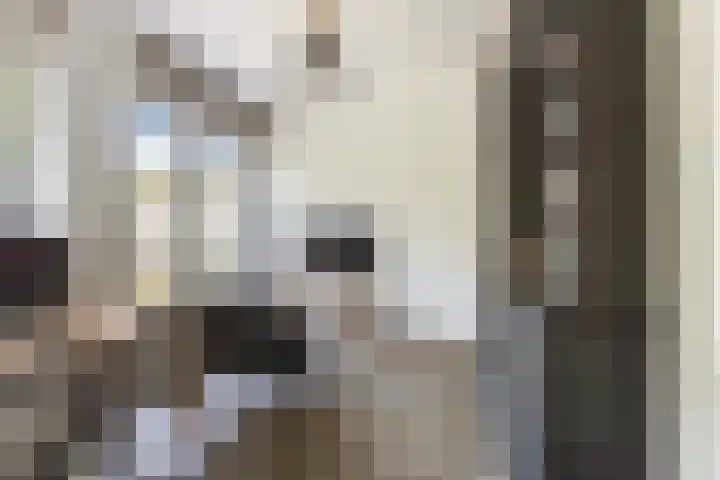 Weide 6 Stolwijk thumbnail 8