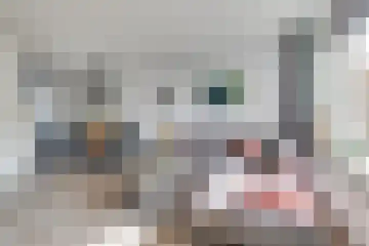 Weide 8 Ruurlo thumbnail 10