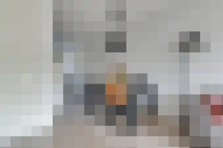 Weide 8 Ruurlo thumbnail 11