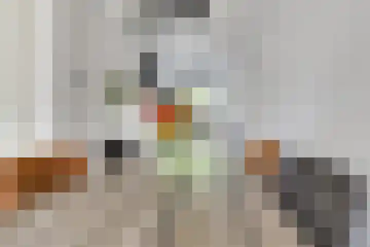 Weide 8 Ruurlo thumbnail 12