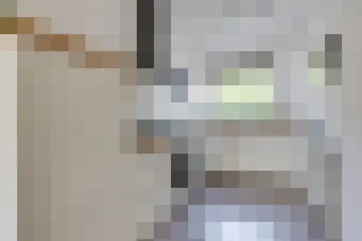 Weide 8 Ruurlo thumbnail 13