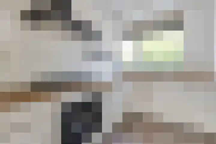 Weide 8 Ruurlo thumbnail 14