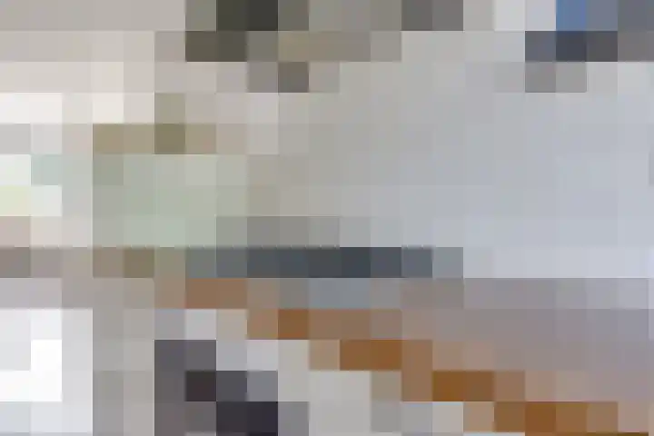 Weide 8 Ruurlo thumbnail 15