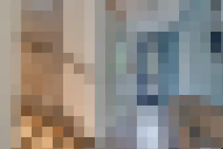 Weide 8 Ruurlo thumbnail 16