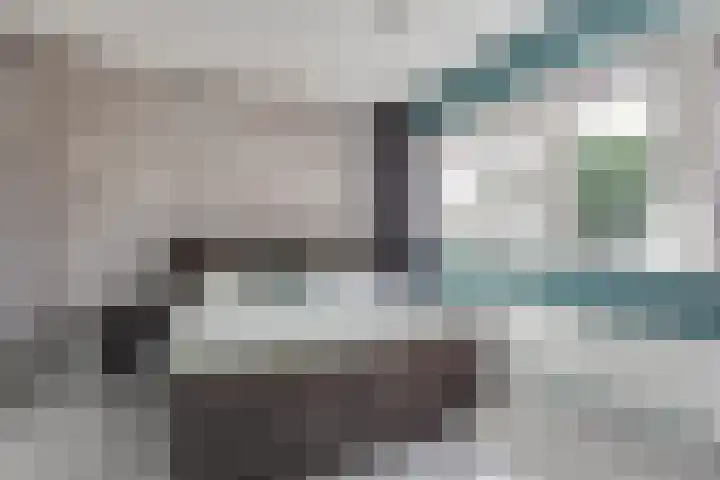 Weide 8 Ruurlo thumbnail 21