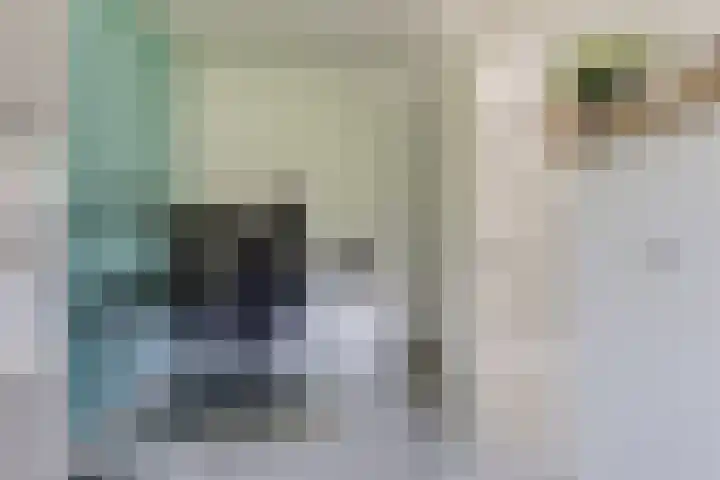 Weide 8 Ruurlo thumbnail 24