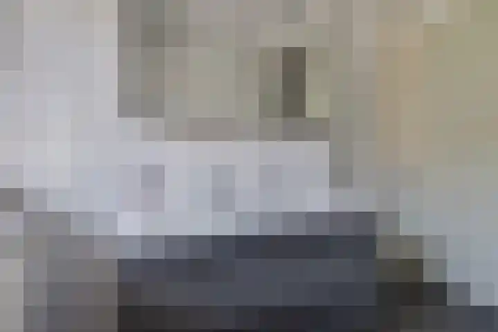 Weide 8 Ruurlo thumbnail 26