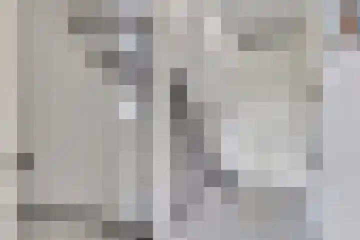 Weide 8 Ruurlo thumbnail 29