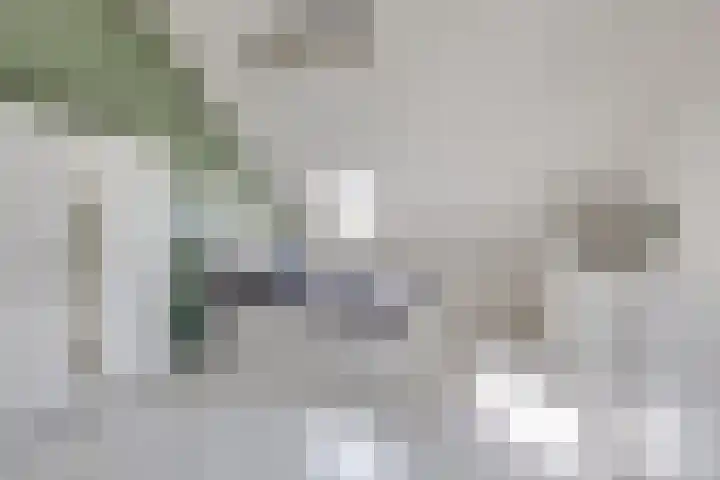 Weide 8 Ruurlo thumbnail 30