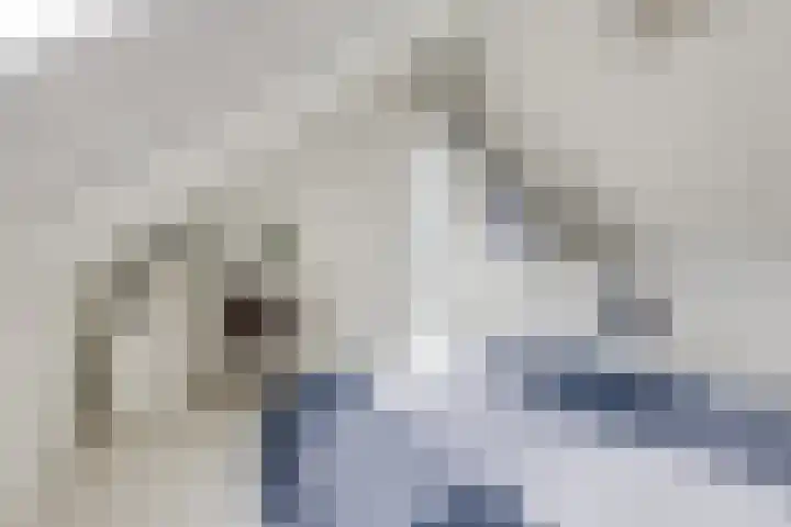 Weide 8 Ruurlo thumbnail 31