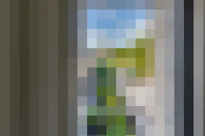 Weide 8 Ruurlo thumbnail 32