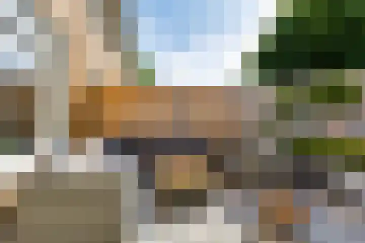 Weide 8 Ruurlo thumbnail 33