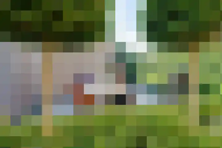 Weide 8 Ruurlo thumbnail 34