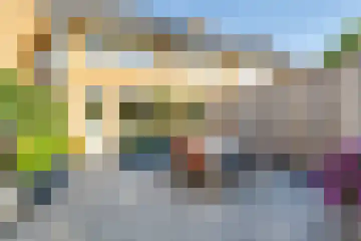 Weide 8 Ruurlo thumbnail 36