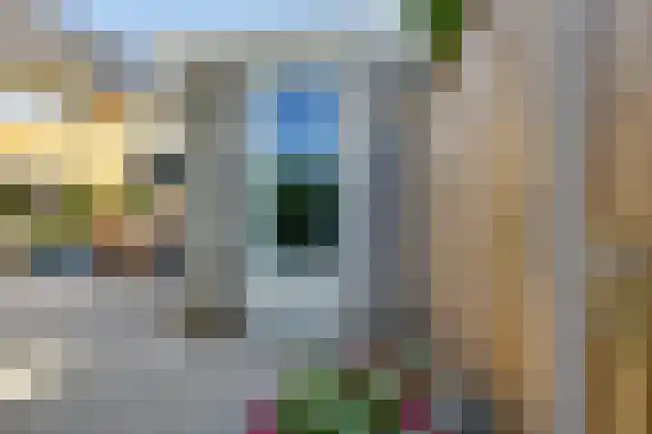 Weide 8 Ruurlo thumbnail 37
