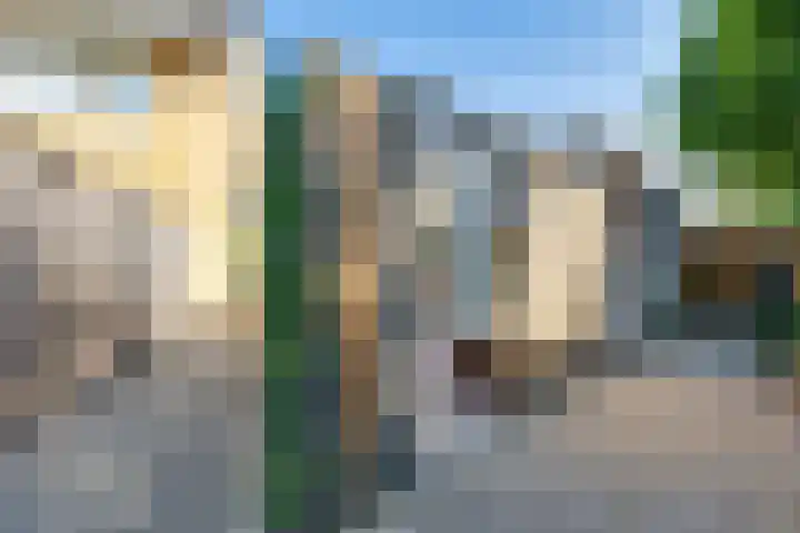 Weide 8 Ruurlo thumbnail 38