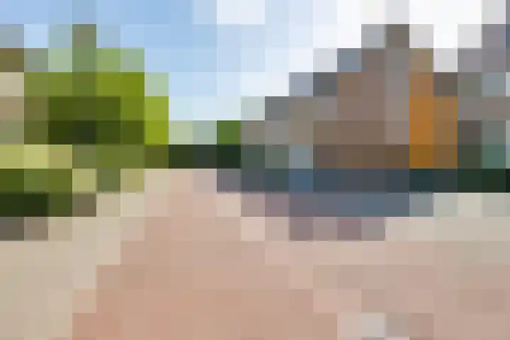 Weide 8 Ruurlo thumbnail 40