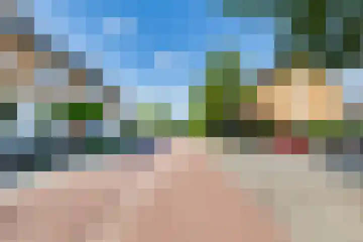 Weide 8 Ruurlo thumbnail 41
