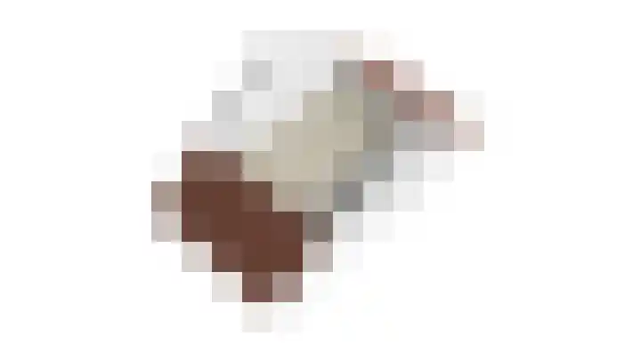 Weide 8 Ruurlo thumbnail 50
