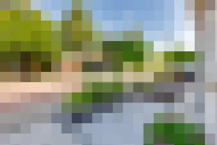Weide 8 Ruurlo thumbnail 6