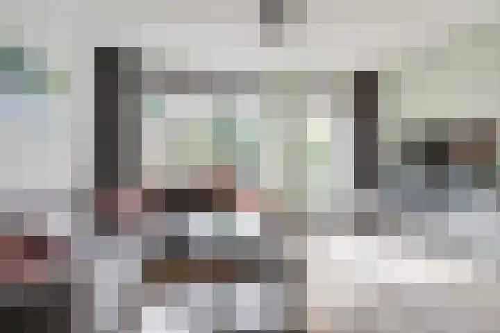 Weide 8 Ruurlo thumbnail 8