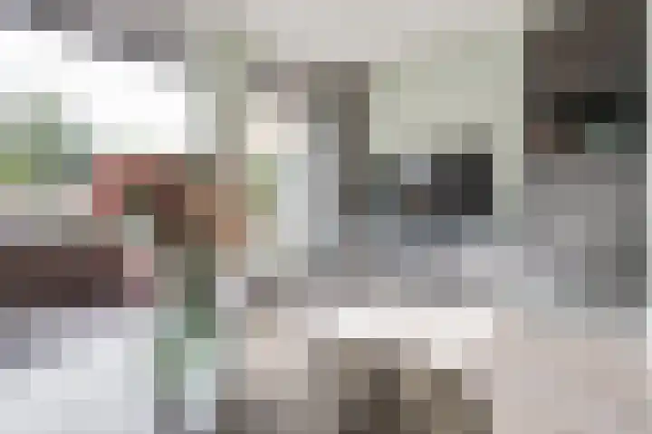 Weide 8 Ruurlo thumbnail 9