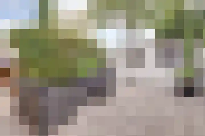 Weide 9 Leerdam thumbnail 22