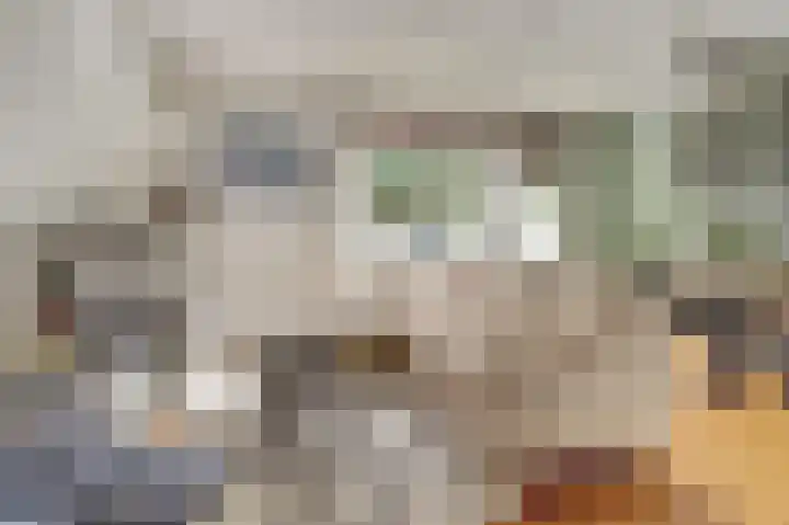 Weide 9 Leerdam thumbnail 7