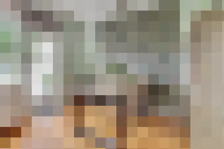 Weide 9 Leerdam thumbnail 8