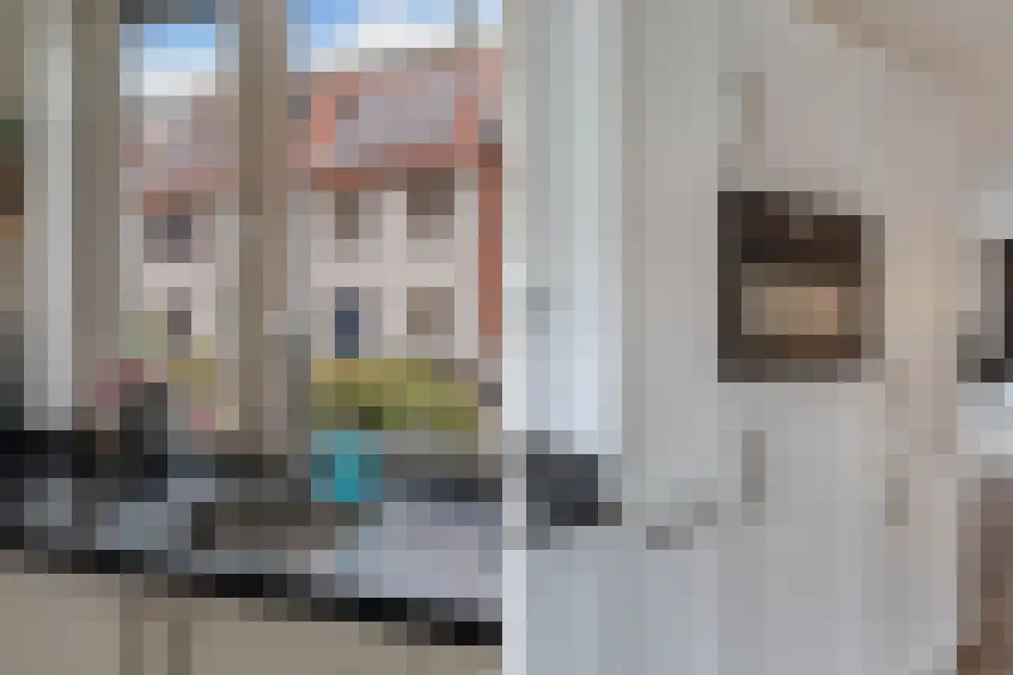 Weide Heijning 14 Broek op Langedijk thumbnail 12