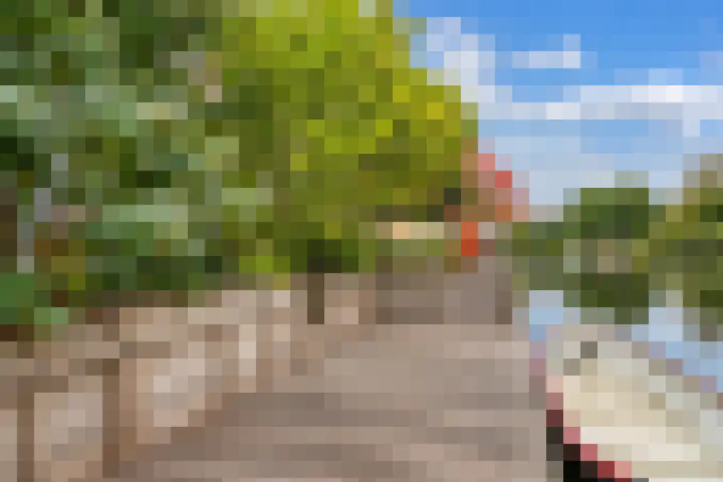 Weide Heijning 14 Broek op Langedijk thumbnail 31