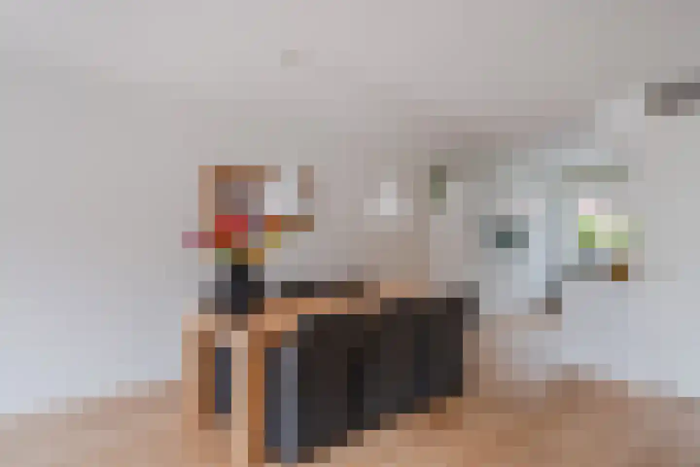 Weide Heijning 2 Broek op Langedijk thumbnail 18