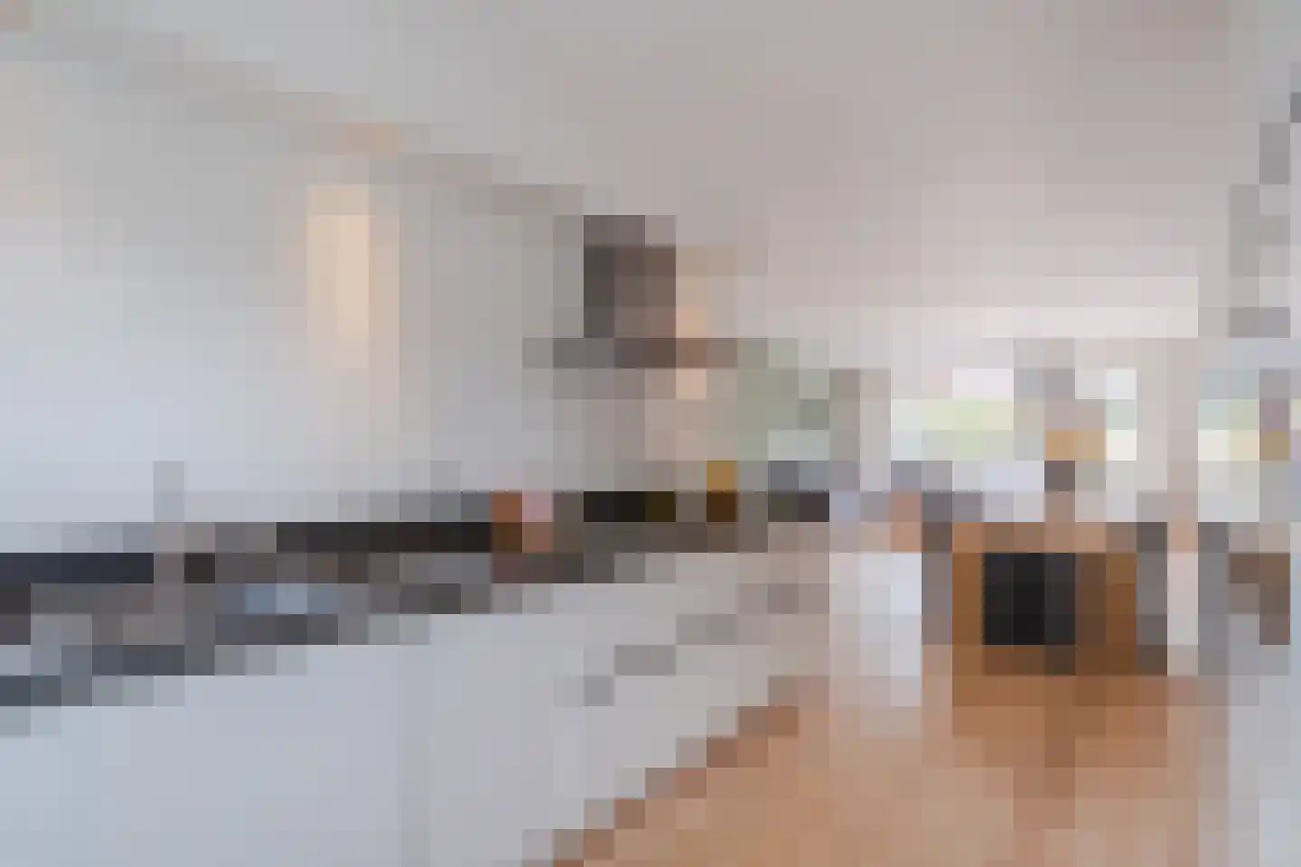 Weide Heijning 2 Broek op Langedijk thumbnail 23