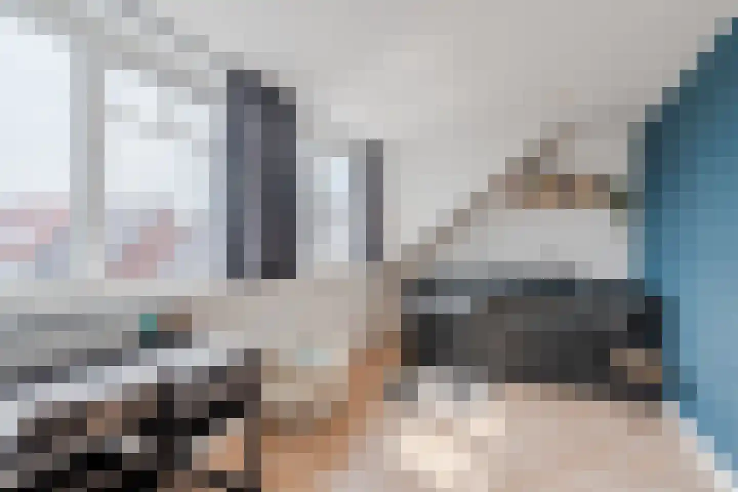 Weide Heijning 2 Broek op Langedijk thumbnail 42