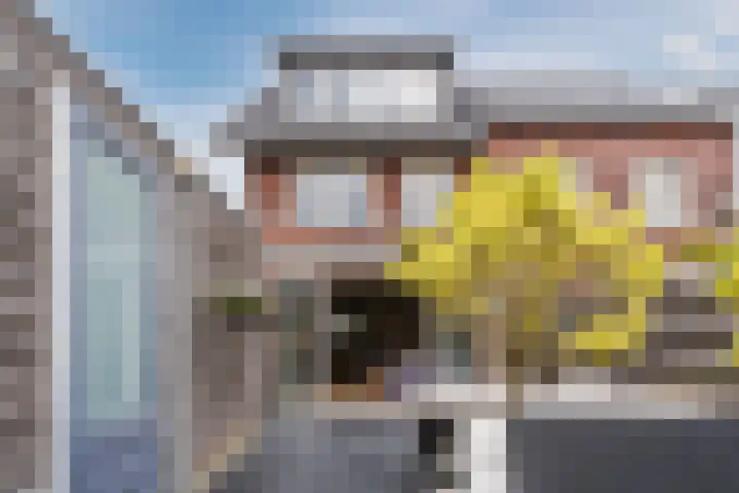Weide Heijning 2 Broek op Langedijk thumbnail 51