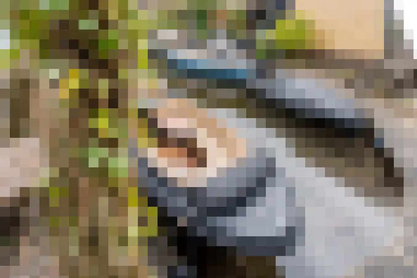 Weide Heijning 2 Broek op Langedijk thumbnail 54