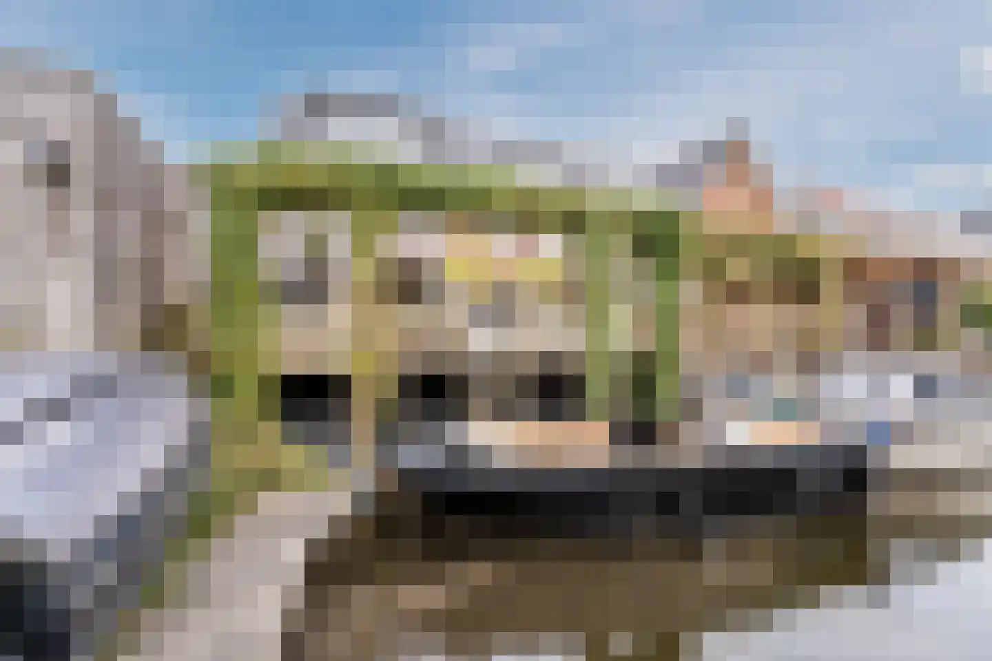 Weide Heijning 2 Broek op Langedijk thumbnail 55