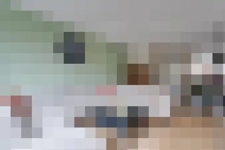 Weide Heijning 8 Broek op Langedijk thumbnail 13