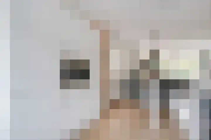 Weide Heijning 8 Broek op Langedijk thumbnail 26