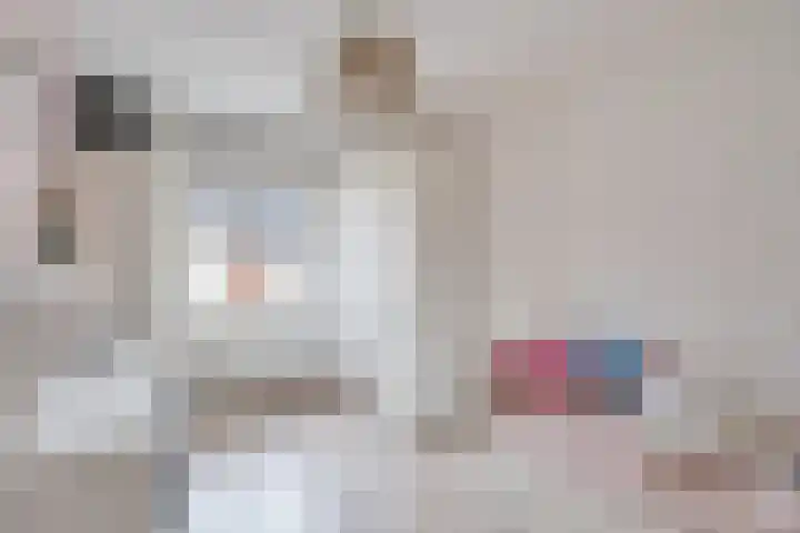 Weide Heijning 8 Broek op Langedijk thumbnail 33