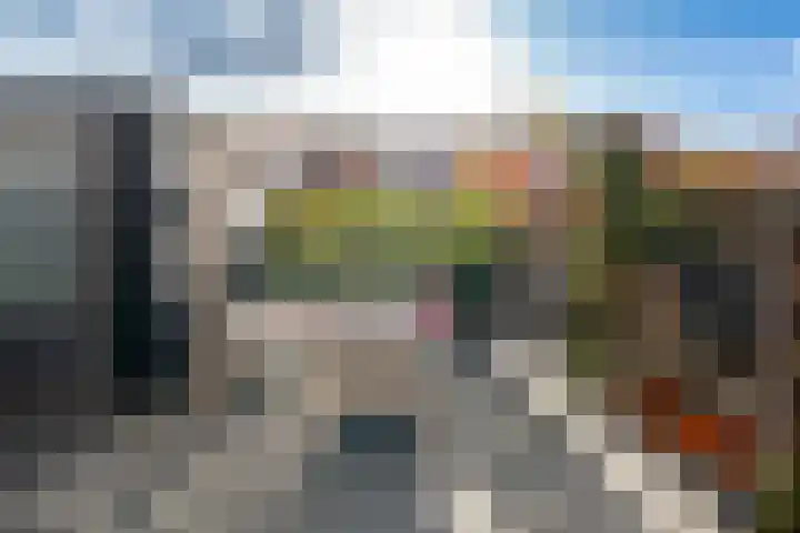 Weide Heijning 8 Broek op Langedijk thumbnail 54
