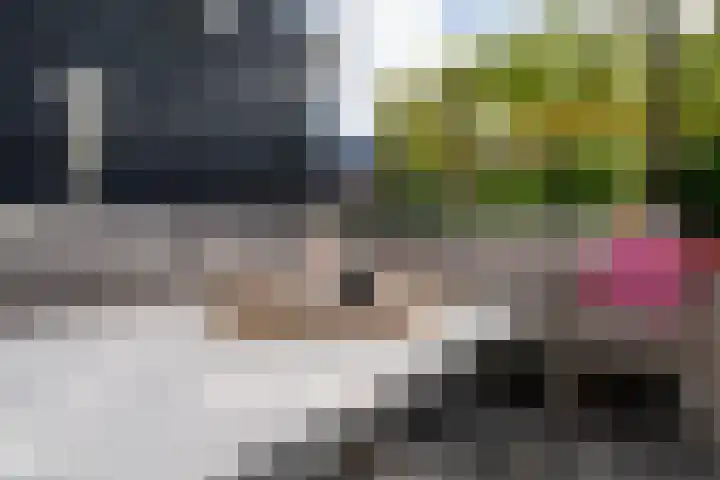 Weide Heijning 8 Broek op Langedijk thumbnail 55