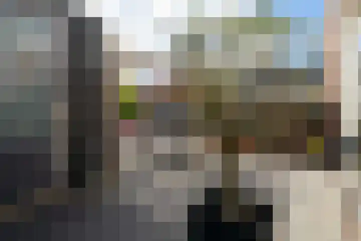 Weide Heijning 8 Broek op Langedijk thumbnail 56