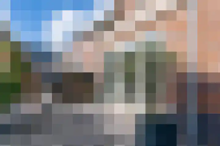Weide Heijning 8 Broek op Langedijk thumbnail 57