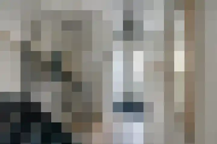 Weide Heijning 8 Broek op Langedijk thumbnail 6