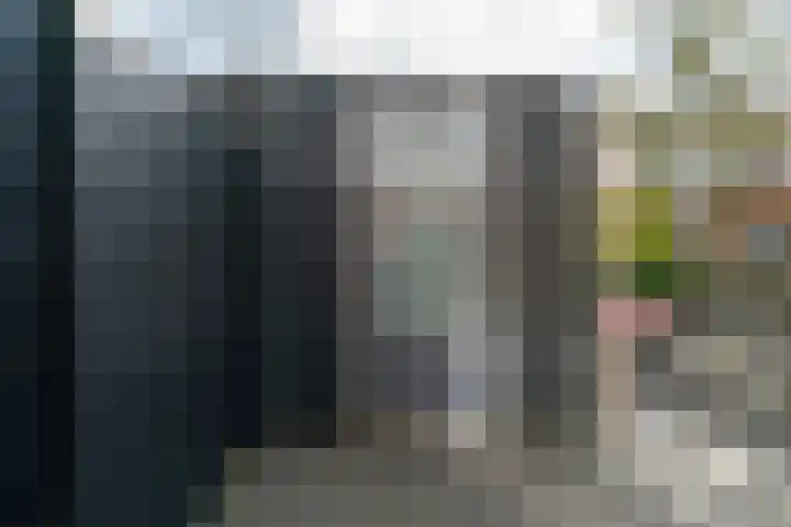Weide Heijning 8 Broek op Langedijk thumbnail 60
