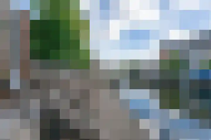 Weide Heijning 8 Broek op Langedijk thumbnail 61