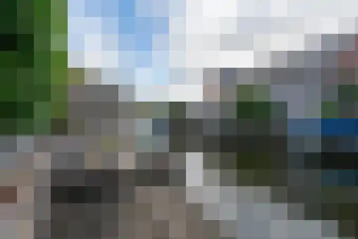 Weide Heijning 8 Broek op Langedijk thumbnail 62